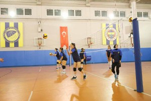 SFR_2976